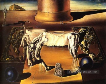 Paranoiac Woman Horse Salvador Dali Oil Paintings